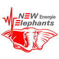 NEW Elephants